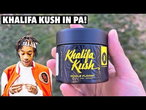Is Khalifa Kush OVER RATED??