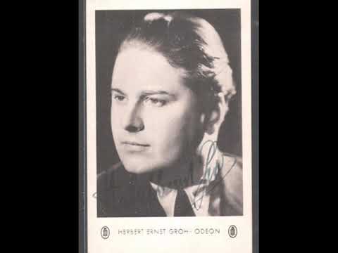 HERBERT ERNST GROH SINGS  DU WARST FUR MICH SCHONSTE LIEBESTRAUM