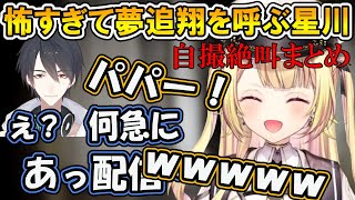 【自撮まとめ】怖すぎて夢追翔を呼ぶ星川サラ【星川サラ/夢追翔/にじさんじ/切り抜き】