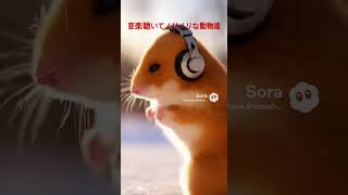 音楽でノリノリダンス#動物 #可愛い#ノリノリダンス