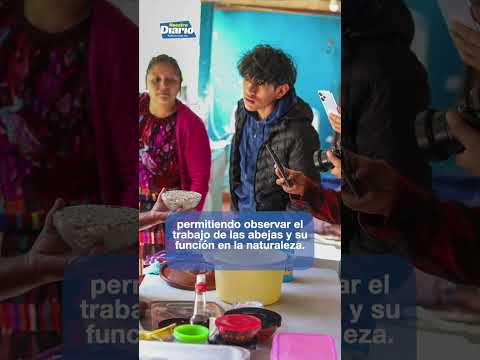 🌳🏞️  DATE LA VUELTA POR LA RUTA ESCÉNICA