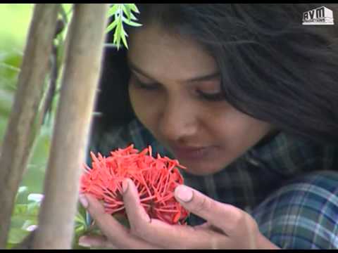 Episode 265: Akila Telugu TV Serial - AVM Productions