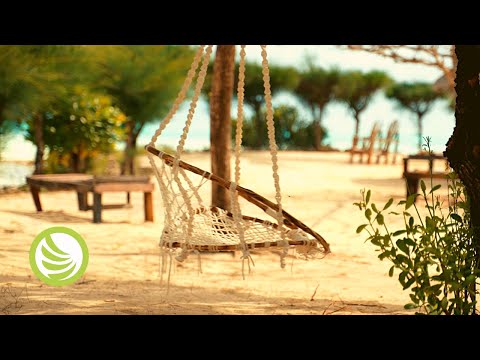 100% ENTSPANNEN Beruhigen Sie Angst, konzentrieren Sie Ihre Energie und schlafen Sie tief