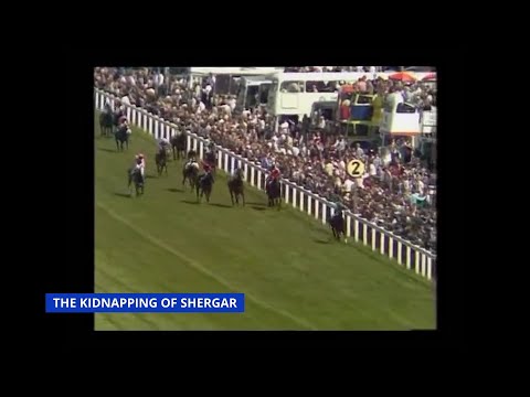 The Kidnapping Of Shergar