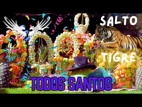 ANGELESZ  BRAZZ - Mix Coplas de TODOS SANTOS | PRIMICIA 2023| [Video Oficial 4K]