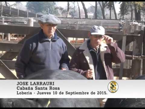 10-09-15 Nota Jose Larrauri - Cabaña La Adelina y Santa Rosa - Loberìa.
