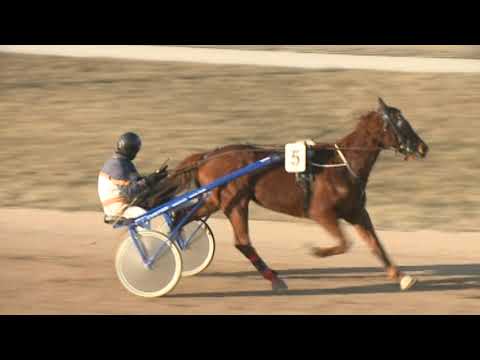 Lósport, ügető: Kincsem Park futamai 2025.02.06