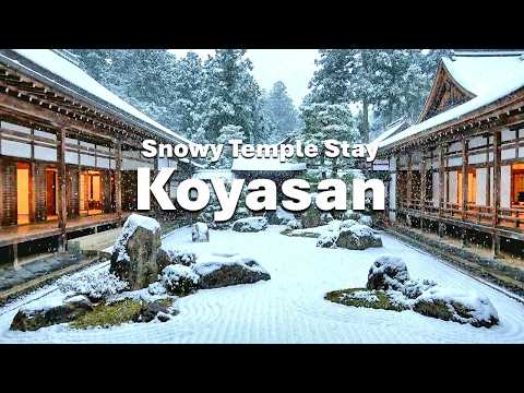 Koyasan Overnight Shukubo Temple Stay in Snow | A Solo Trip Vlog
