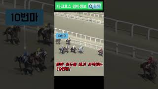 【01/13(토) 서울6R】 복승식 53배, 삼쌍승 1,675배! 오늘의 왕대박 경주 선정!