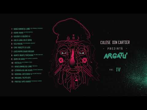 Argatu' - Prutule apa vioara (cu Nicolae Sabau) - Outro