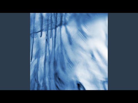 Avion (Laima Adelaide Remix)