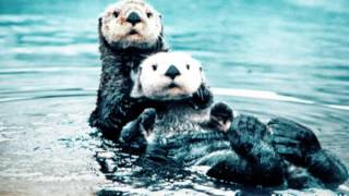 We Are The Plastic People - Splashing Tears - RAP version Shakila