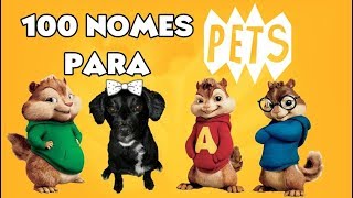 100 nomes fofos para PETS