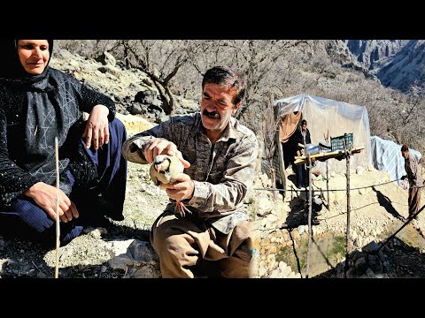 From freeing a bird🦜 to helping a nomadic neighbor; a real day in our lives in the tribe