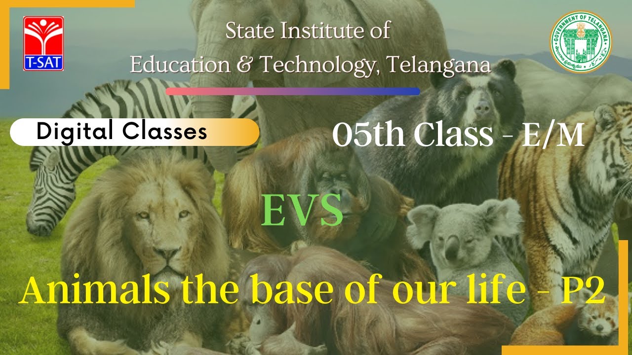 05th Class (E/M) || EVS - Animals the base of our life - P2