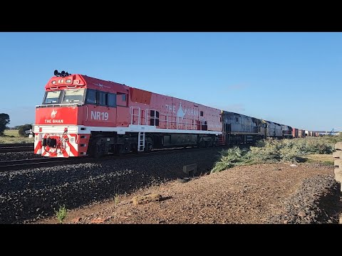 4AM5 with NR19, NR39, G530 and NR74 24/10/2024