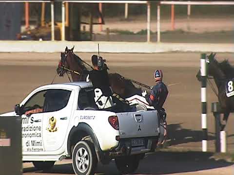 Trotto 07/10/2018 - 5ª corsa