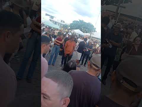 calvagada de lontra Minas gerais