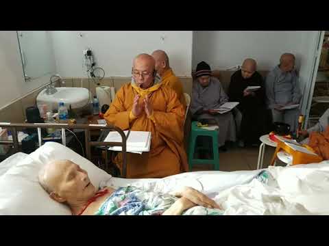 TTT THÔNG LAI / Indio, CA "Hành Trì Phương Pháp Phowa cho P/T Minh Hồi" Apr 16, 2021