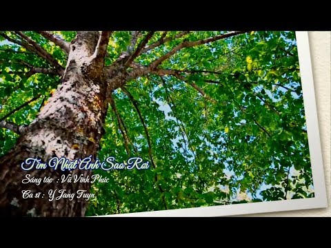 Tìm nhặt ánh sao rơi - Y Jang Tuyn