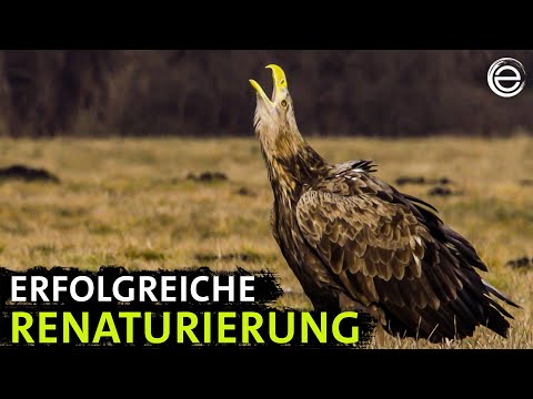 Die Havel ‒ Ein Fluss der Kontraste | Erlebnis Erde