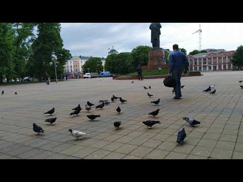 Sharp AQUOS S2: пример видеосъемки 2