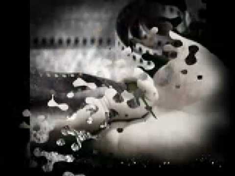 Sercan - Yabanci Misafir  (2008)