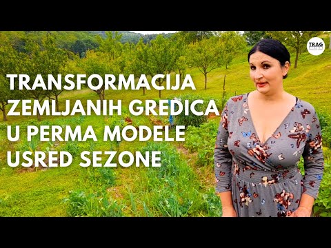 Discover the power of the PERMA MODEL: Transforming soil beds for an impressive mid-season crop!