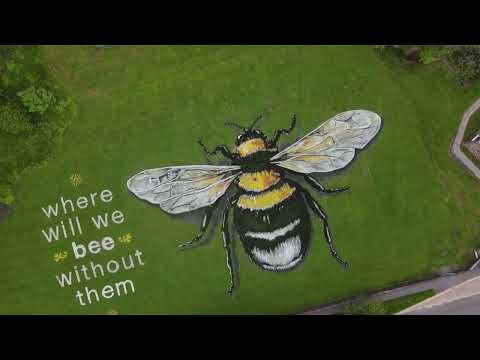 Giant mural highlights the plight of bees