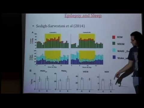 Programa de Doutorado: Processos Estocásticos - Lucas Martins Stolerman