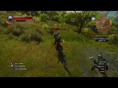 The Witcher 3: Bloodbath