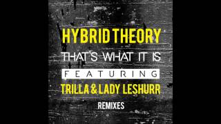 Hybrid Theory - That's What It Is (Flava D Remix)