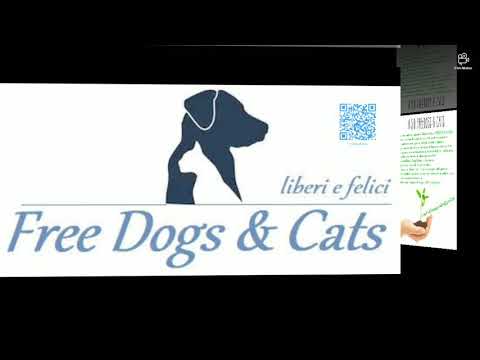 Freedogs & Cats