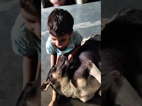 #cute Dhanvi & Dog