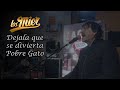 Los Mier - Déjala Que Se Divierta / Pobre Gato (En Vivo en "Zagar desde el Bar")