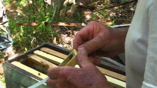 HOW  TO CAGE A QUEEN IN 15 SECONDS