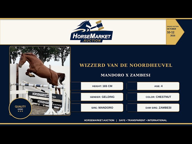 Wizzerd van de Noordheuvel