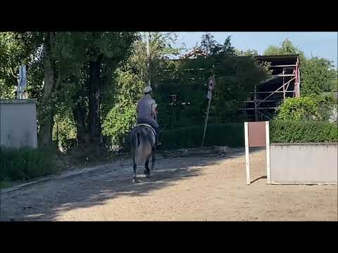 Comme il faut x Renomme Wall. Old. 2013