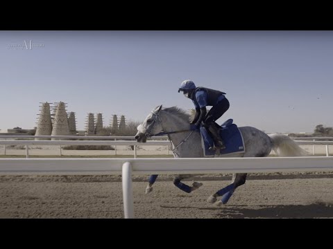 🏇 AMIR SWORD 2022 - Teaser