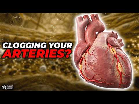 Cholesterol Isn’t the Real Problem