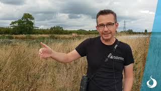 Tucklesholme transformation - PEBBLE project