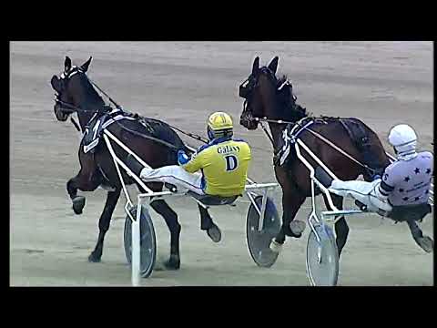 Napoli Trotto 20/03/2022 - 5ª corsa