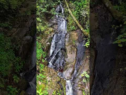 cascada la vigen en vijes valle del cauca..#usa #cascadas #turismocolombia