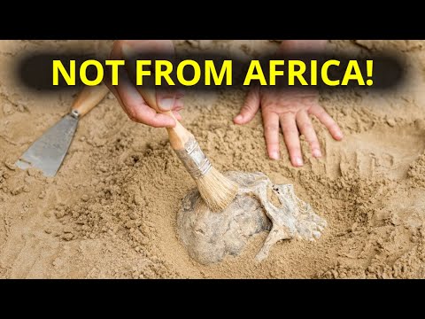 8.7-Million-Year-Old Skull Just Discovered in Turkey Rewrites History!