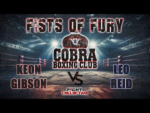 COBRA BOXING: FISTS OF FURY: 15 Gibson vs Reid