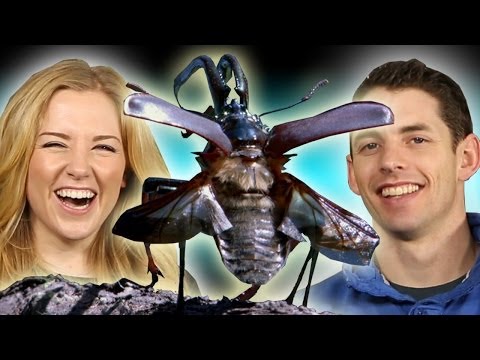 How Do Insects BREATHE? | BBC Earth Explore