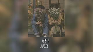 Model - Mey(speed up)