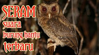 Download lagu SUARA BURUNG HANTU PALING SERAM TERBARU || penakut wajib tonton mp3
