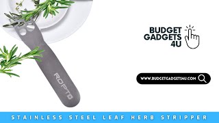 Stainless Steel LooseLeaf Kale, Chard, Collard Greens Kale R