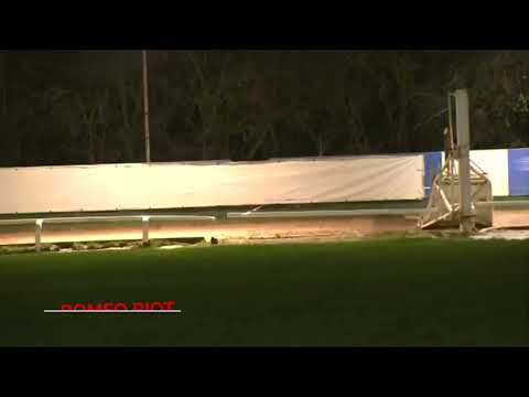 Romeo Riot - BGBF British St Leger Final